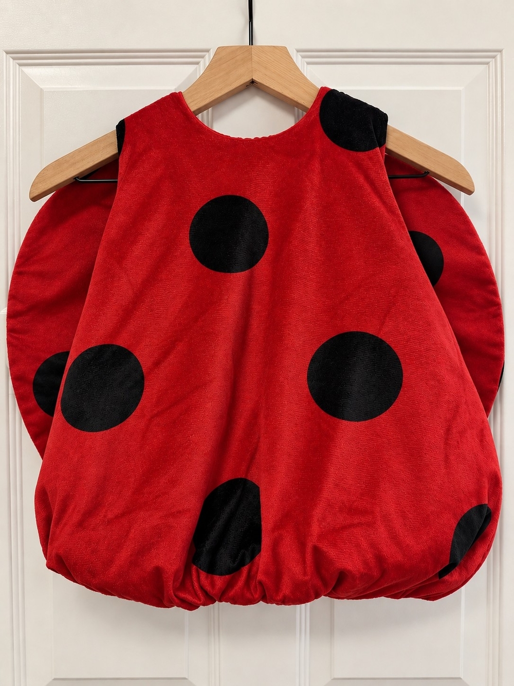 Soft Cozy Toddler Ladybug Costume 2T